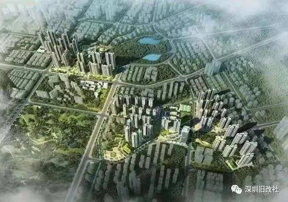 观澜田背花园，城市中的自然绿洲