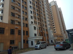 揭秘四肖八码的真相—理性对待彩票投注四肖八码准稳是什么