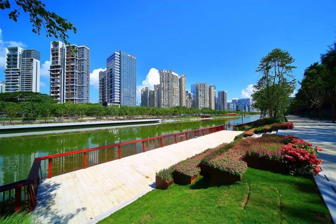 高密租房信息，探索城市生活的多样选择