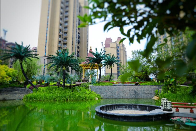 探秘本溪金地花园，城市中的自然秘境