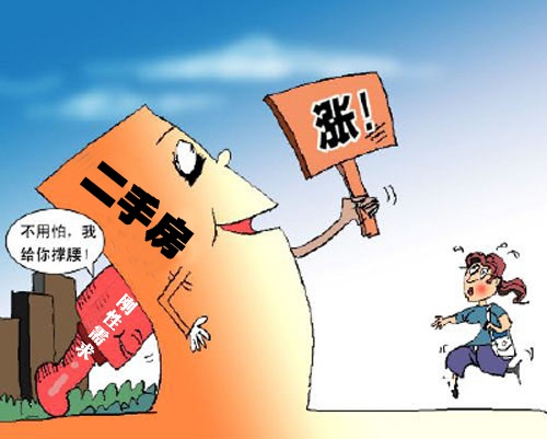 探秘原阳二手房市场，潜力与机遇并存