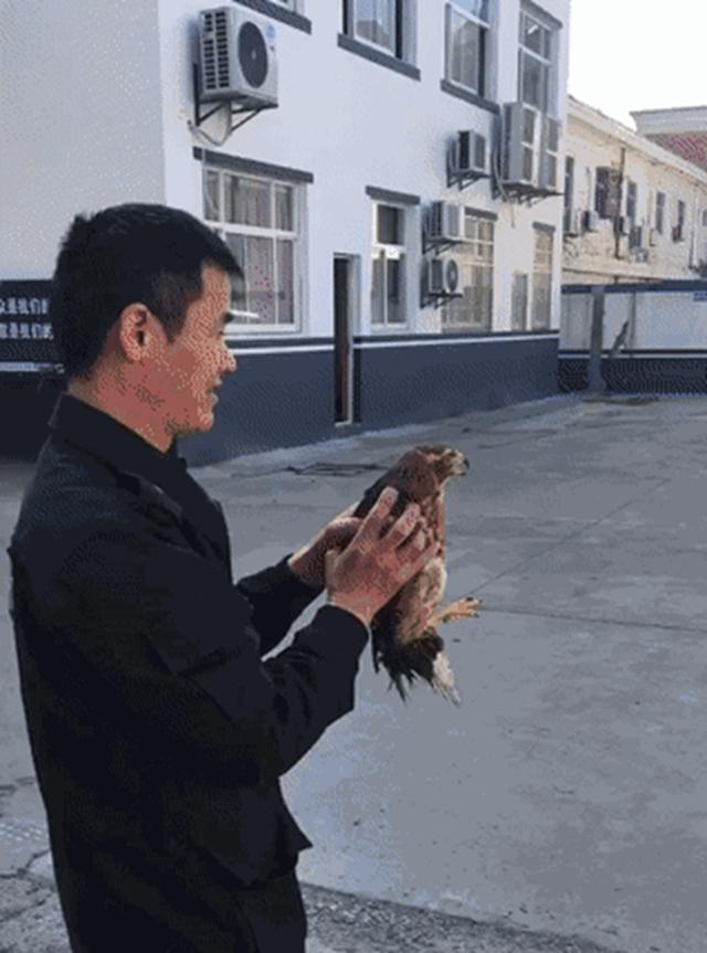 嘉善租房网，便捷高效的租房新选择