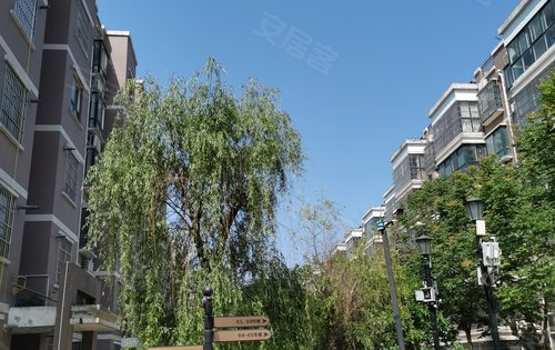 蓝田楼盘，城市绿洲中的宜居新选择