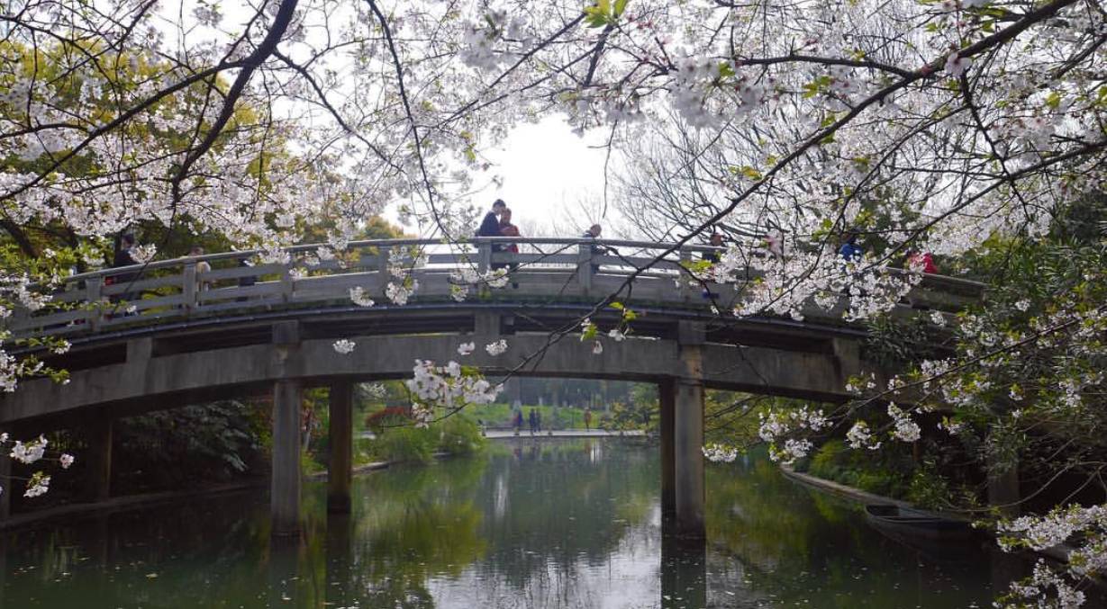 探秘国花园，自然与艺术的完美交融