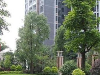 邓州租房，城市边缘的温馨港湾