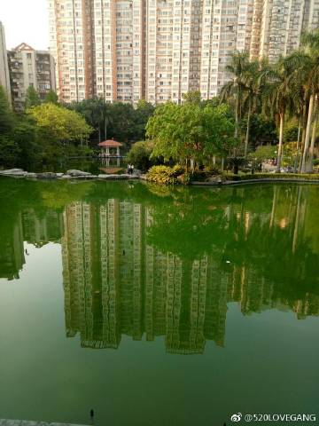 广州蓝花园，城市中的自然绿洲