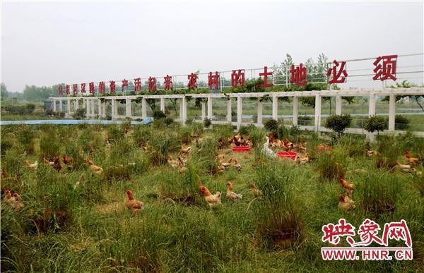 固始房产信息，探索豫南小城的置业新选择