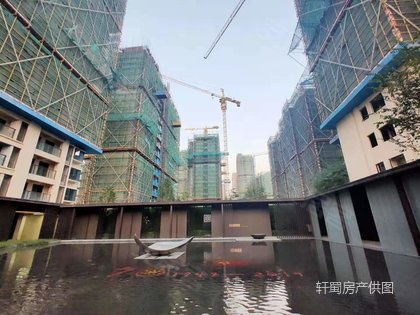 澳门马会免费资料大全，深度解析与实用指南澳门马会免费资料大全集