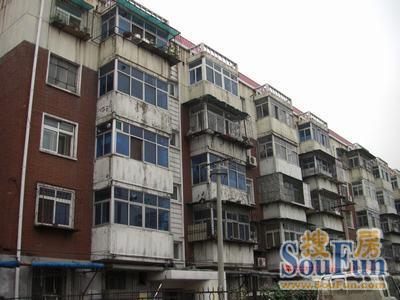 湛江租房，探索城市生活的多元选择与温馨家园
