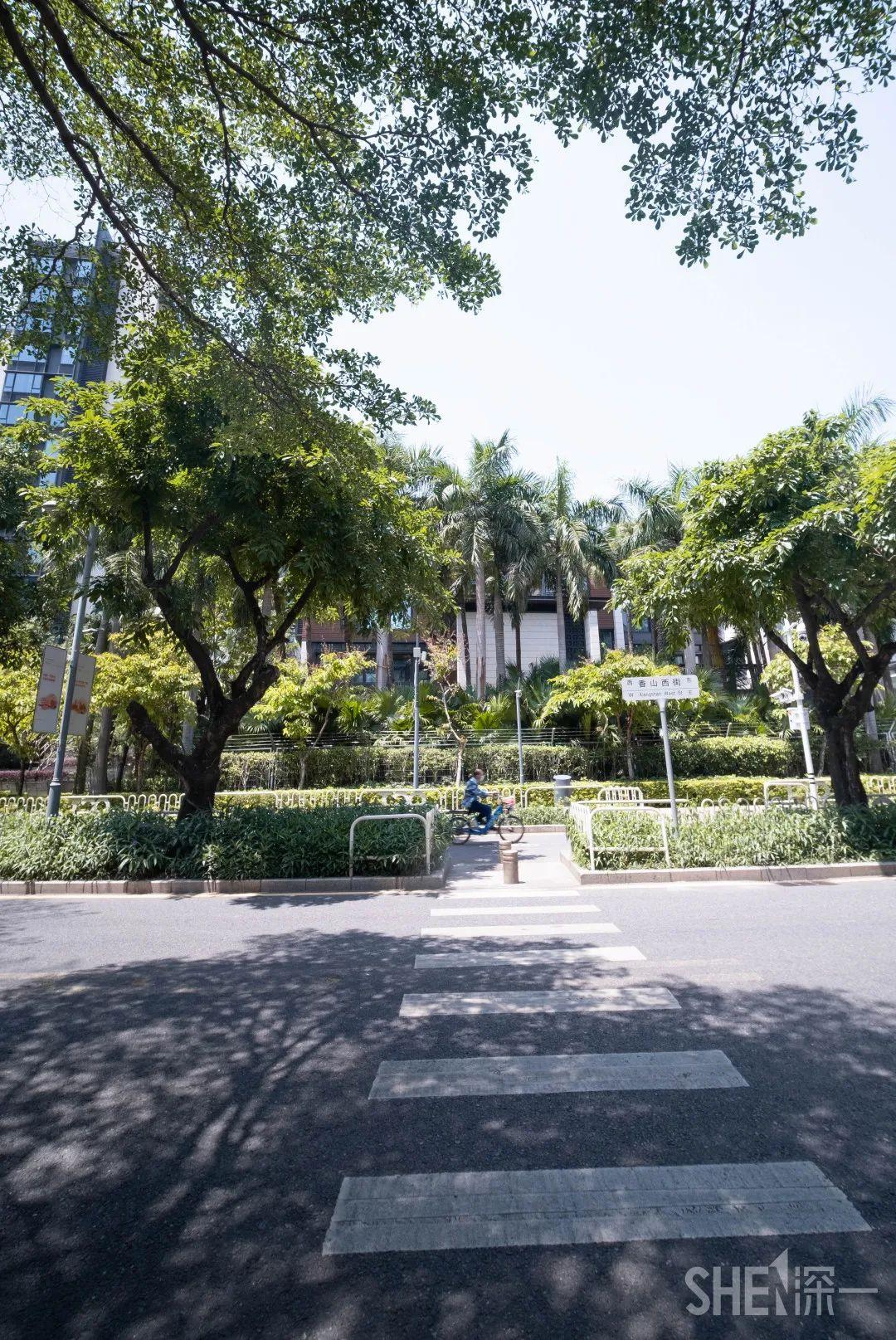 探秘深圳白石洲，二手房市场的独特魅力与投资价值