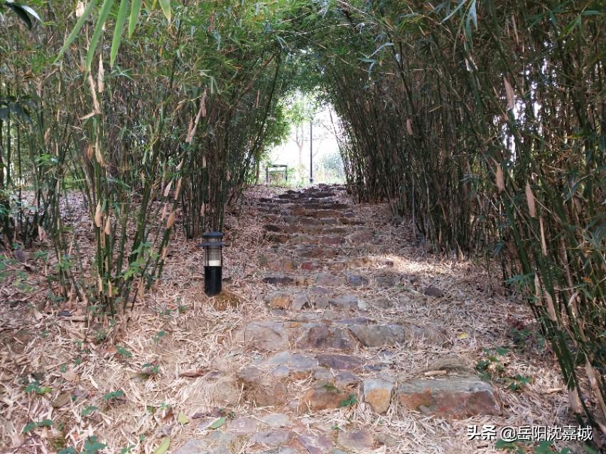岳阳个人二手房网，打造安心、便捷的房产交易平台