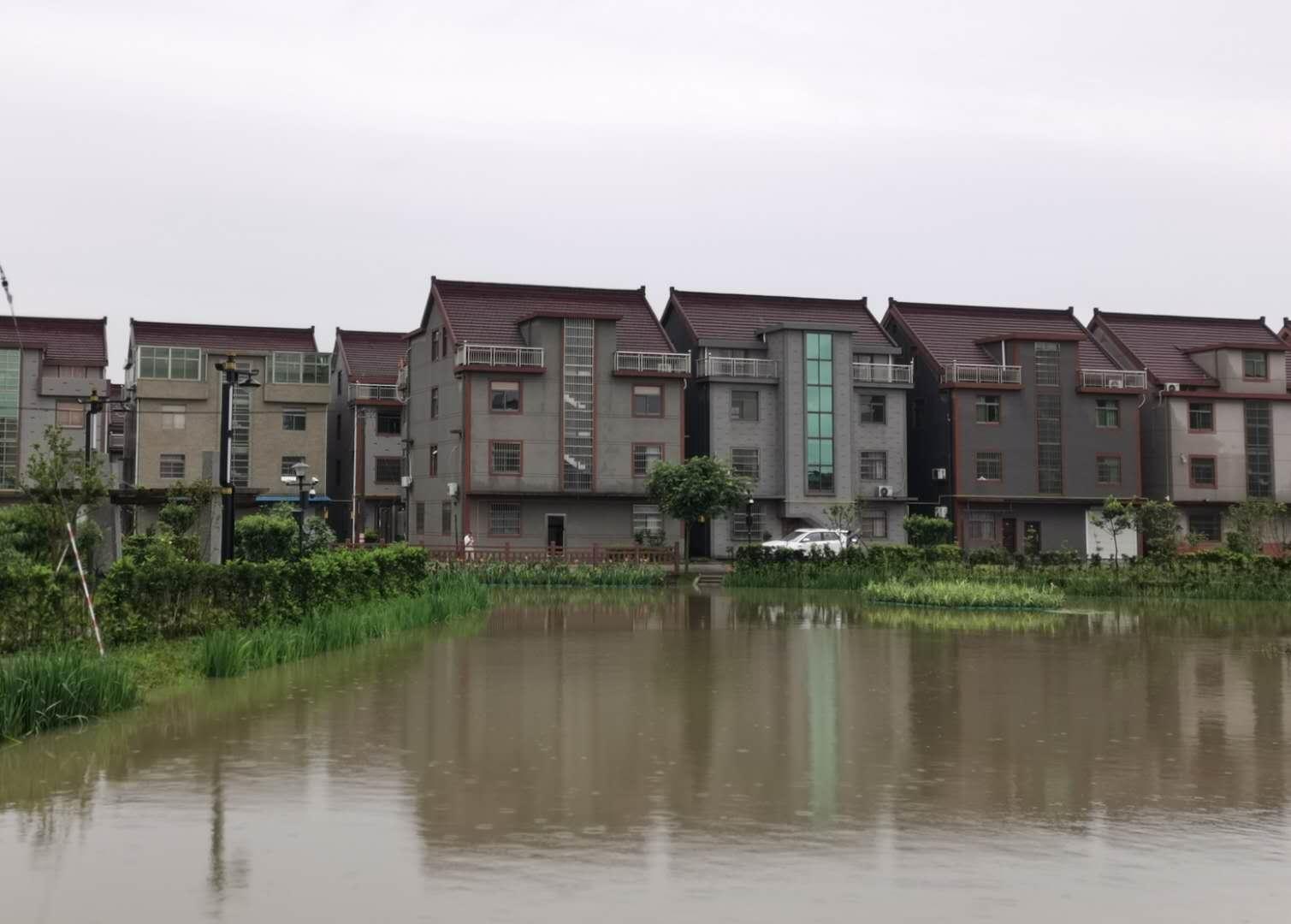 嘉善租房信息全攻略，打造温馨舒适的居住环境
