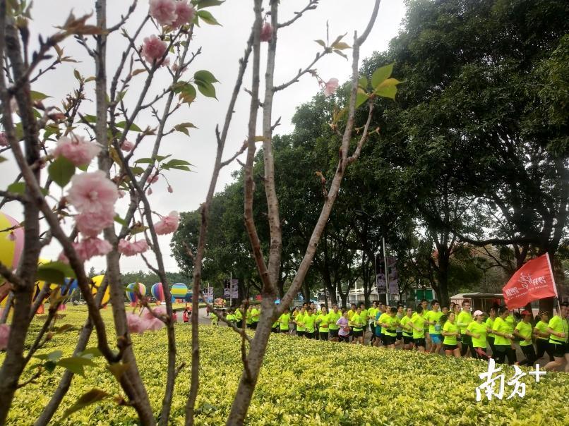 邹平租房信息全攻略，从房源选择到租房技巧的全面解析