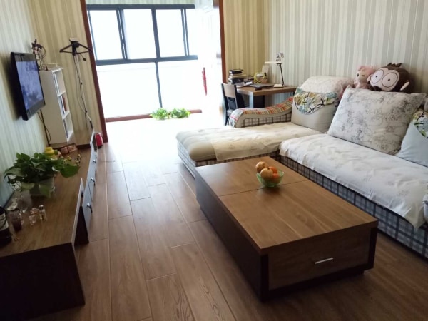 探索中大租房的多元魅力，从学生到白领的居住新选择