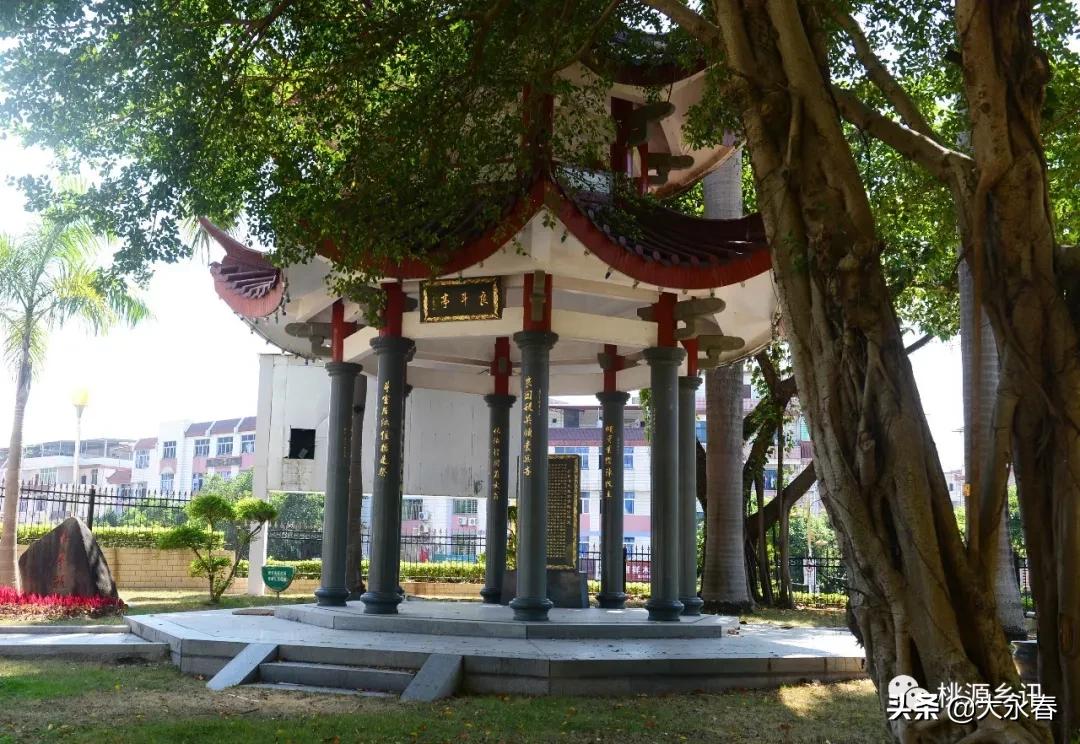 永春租房，探索传统与现代交融的居住新选择