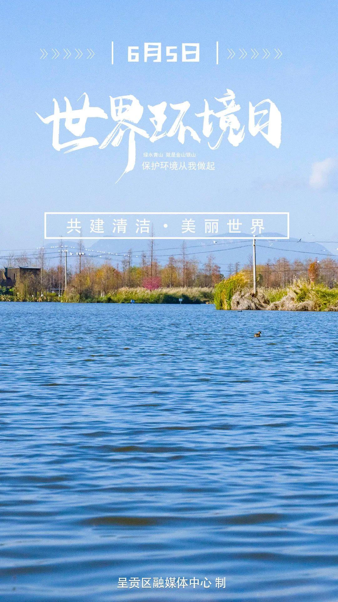 呈贡房屋出租，探索昆明南郊的宜居新选择