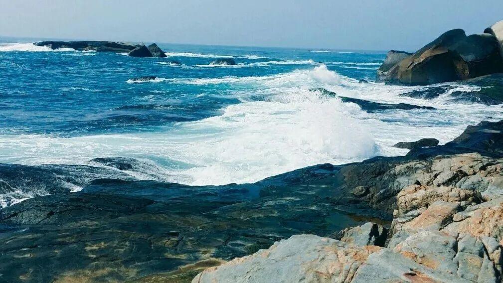 海南房价走势，蓝海之上的波澜与未来展望