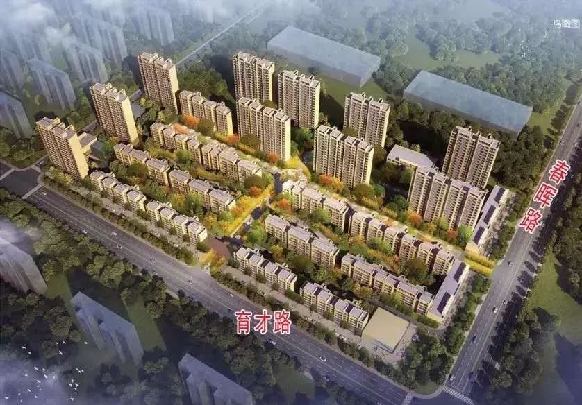 探索双色球54期开奖结果，揭秘数字背后的幸运与期待