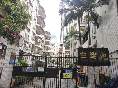 鹤舞白沙，白鹤洞租房的独特魅力与实用指南