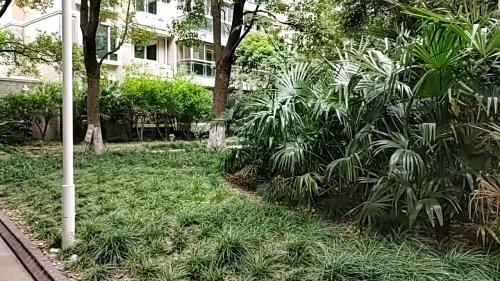 芜湖新都花园，城市中的静谧绿洲