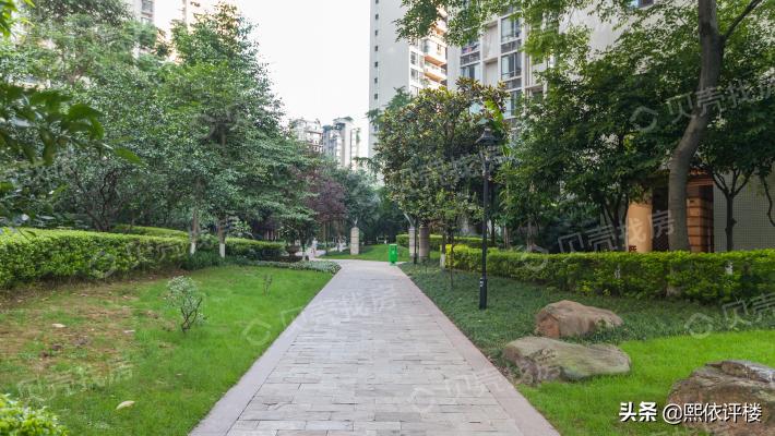 探秘南滨路二手房市场，历史与现代的交融，投资与居住的双重选择