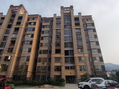 城市生活多元选择
