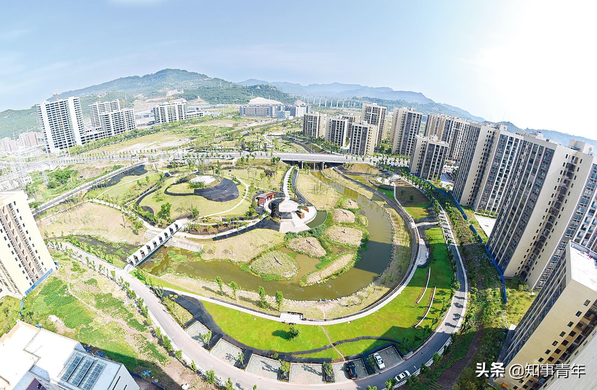 彩经网3D历史上的今天，回顾与展望