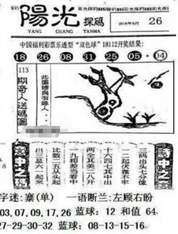 最新阳光探码图，解码数字时代的透明与公正