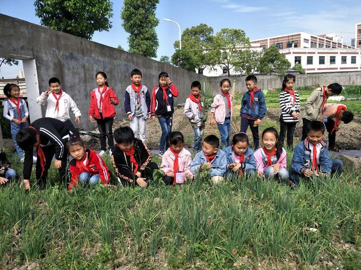 快乐8，解锁最新预测号码的奇妙之旅