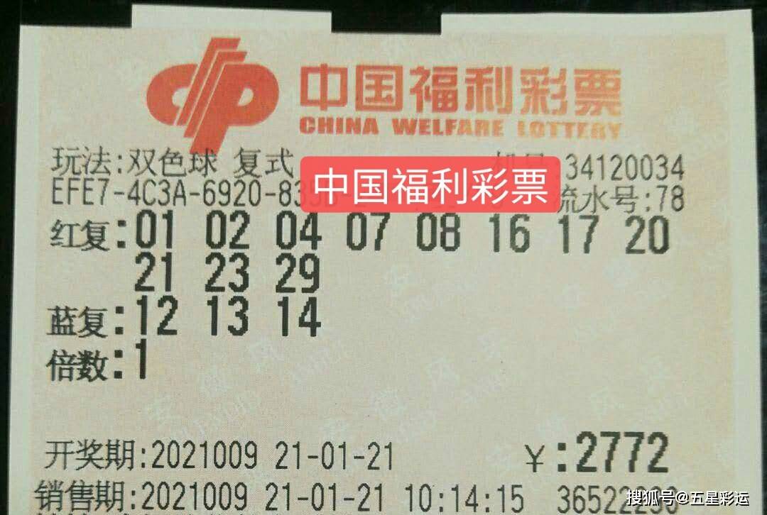 探索双色球2023年132期的奇妙之旅，梦想与现实的交汇