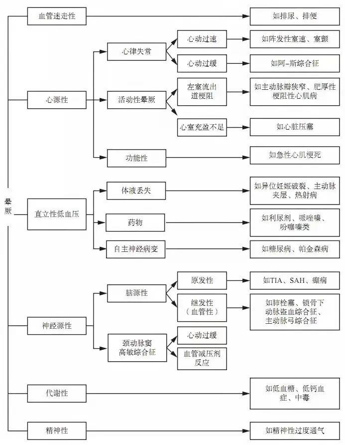 探索双色开奖结果号码的奥秘，数字背后的科学与乐趣