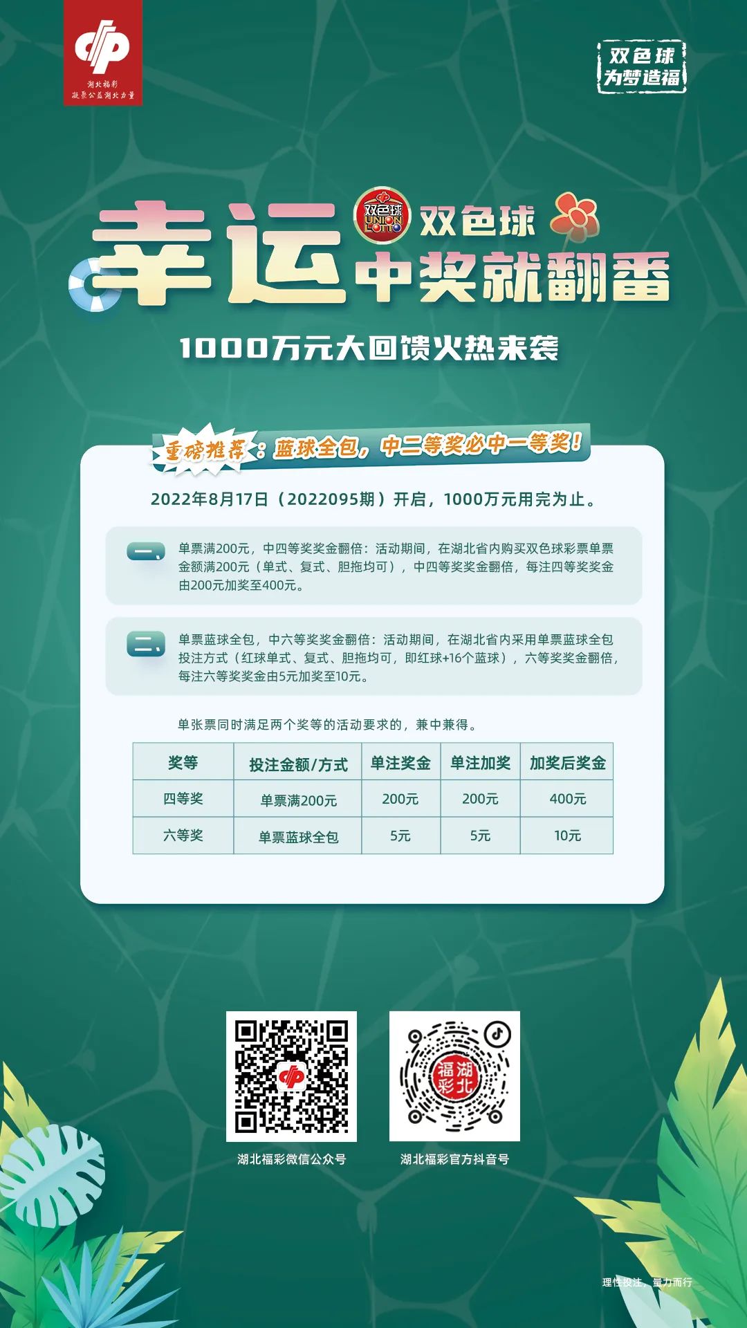 双色球第31期，梦想与机遇的碰撞，揭秘彩市新热潮