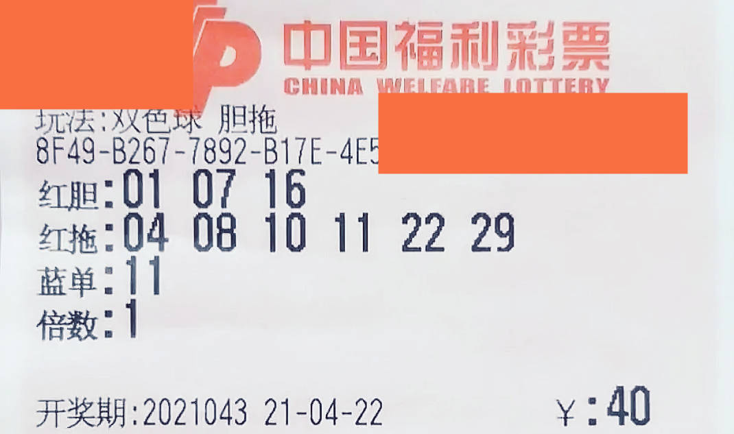福彩3D彩宝网首页专业，探索数字背后的幸运与智慧