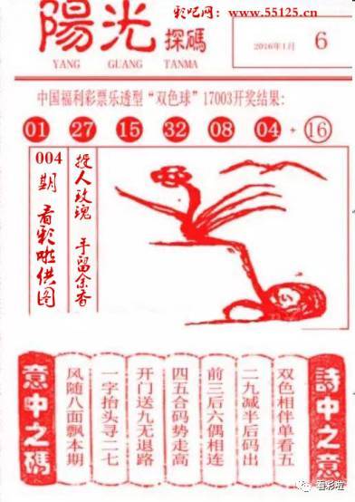 阳光探码，全国联销图谜的魅力与挑战