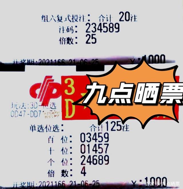揭秘一肖三码，数字游戏中的智慧与陷阱精准一肖三码