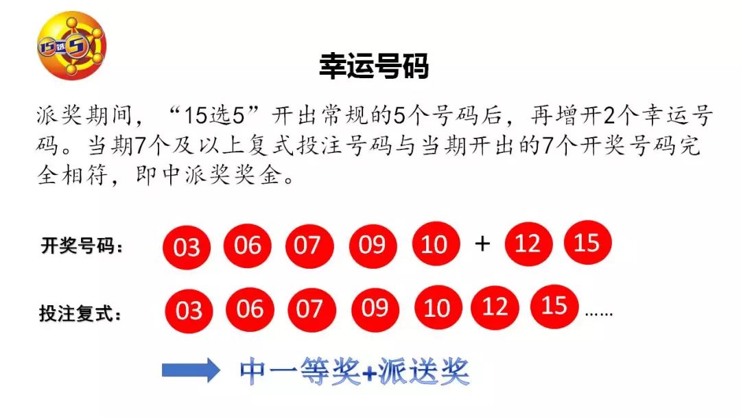 今日上海11选5开奖结果揭晓，幸运数字的奇妙之旅