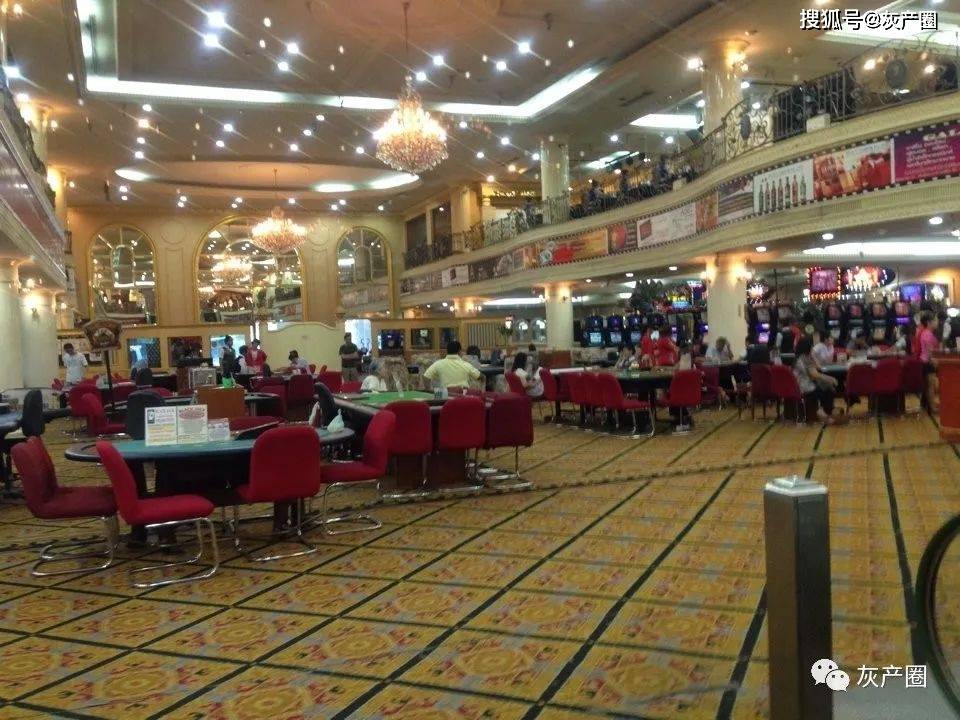 2023年香港近15期彩票开奖回顾，数字背后的幸运与期待