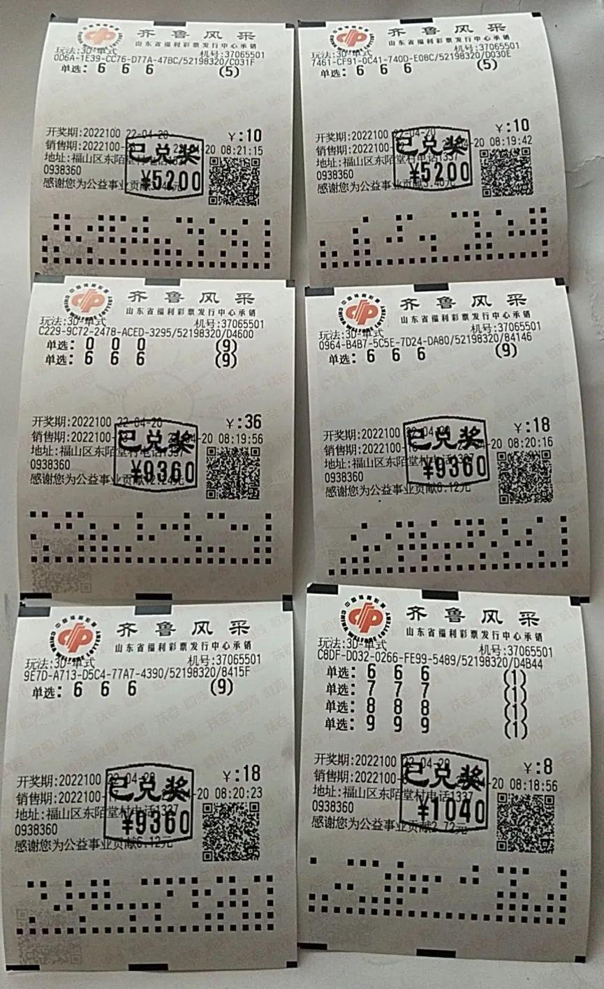 探索中国体育彩票，便捷的查询方式与中奖号码的惊喜