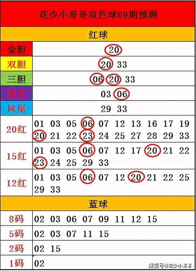 2023年双色球第146期开奖号码结果深度解析与回顾