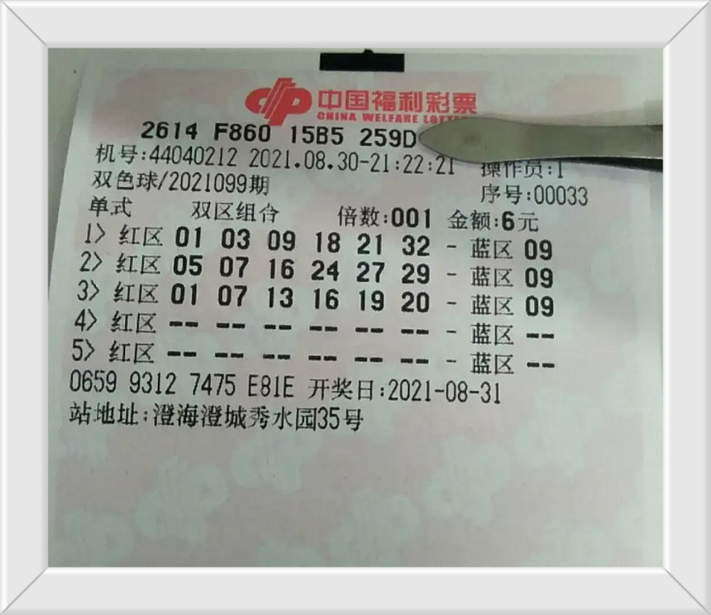 探索香港赛马会，揭秘排位表背后的精彩与文化香港赛马会排位表资料贴士指数