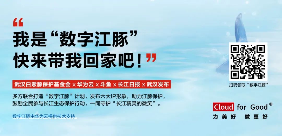 探索三地最小号走势图，揭秘彩票背后的数字奥秘