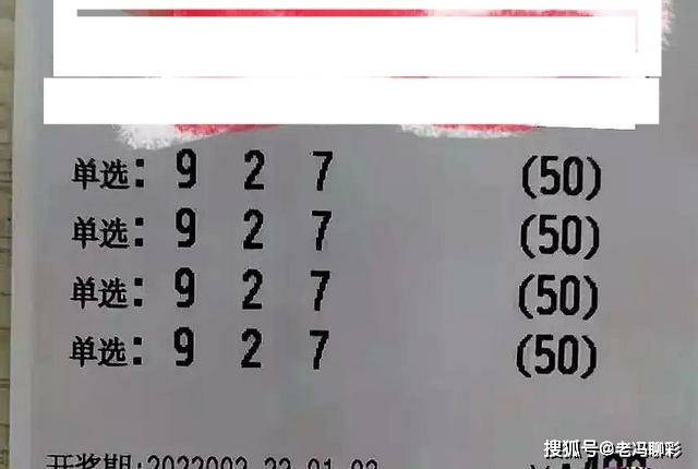 福彩3D字谜图谜总汇2022009开奖号，揭秘数字背后的奥秘与乐趣