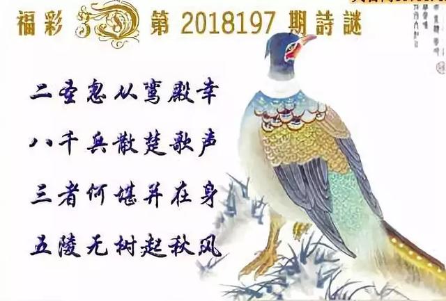福彩三D今日字谜，解锁幸运的智慧之门