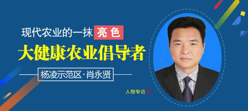 管家婆204年资料一肖配成龙，揭秘传统与现代融合的智慧