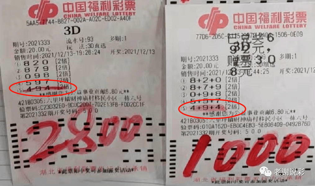 福彩3D今日试机号查询结果，揭秘数字背后的幸运密码