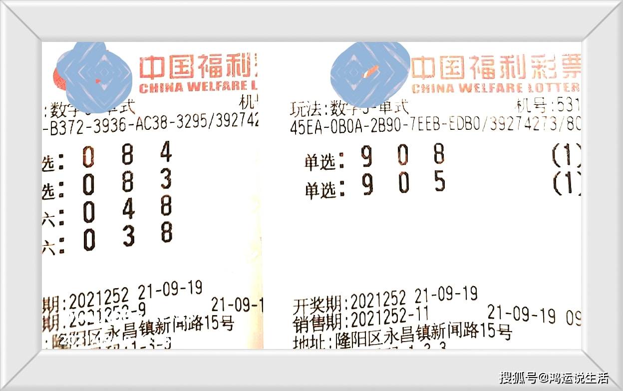 山西3D彩民乐树图库，探索数字背后的乐趣与希望