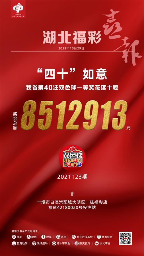 福彩双色球官方正版下载与安装指南