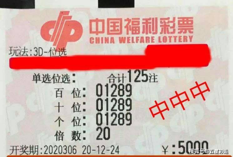 2046年澳门精准正版资料，未来博彩业的智慧与诚信2024澳门精准正版资料开奖结果
