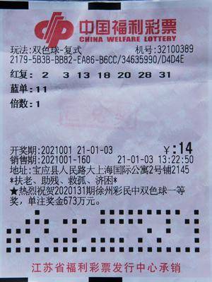 2013年双色球全年走势图深度解析，趋势、规律与彩民策略