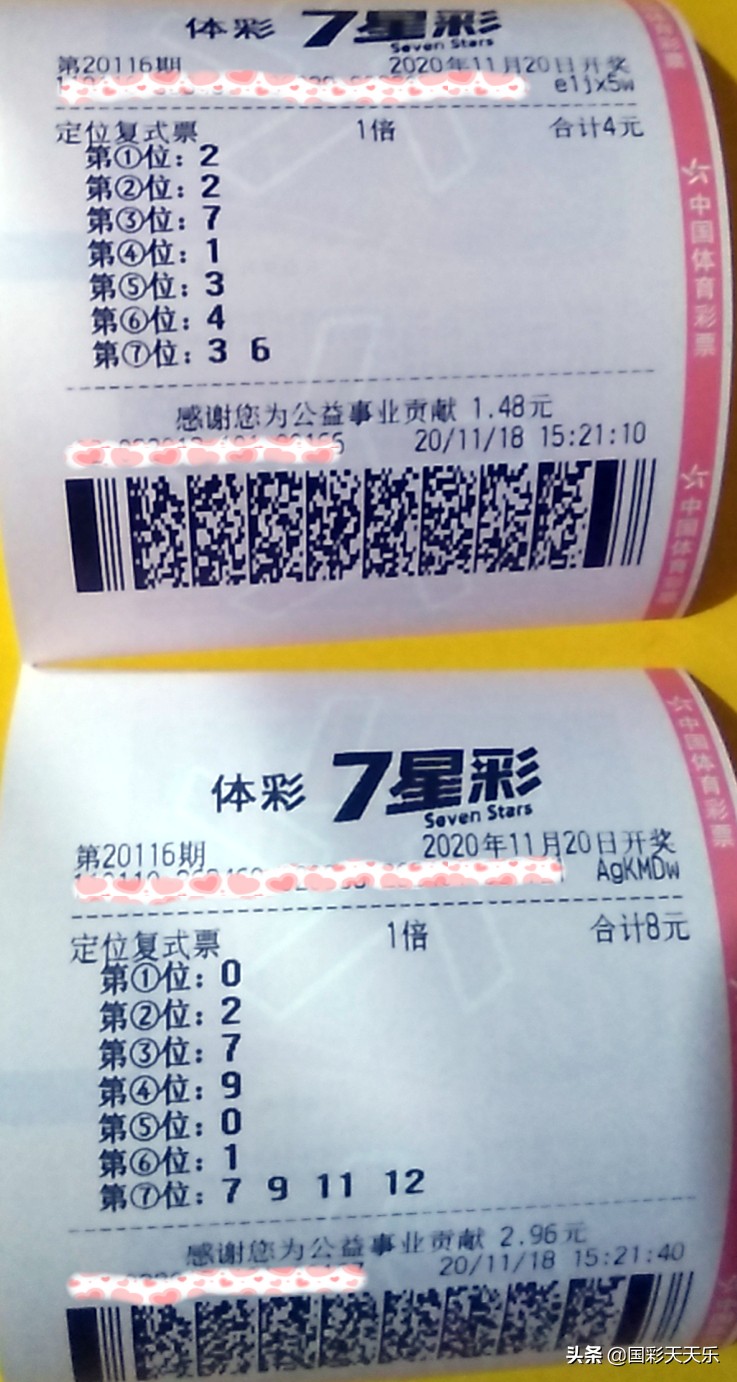 展望2035，未来彩票信息获取的新生态—从天天彩资料免费大全谈起2025天天开彩资料大全